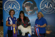 2009acashow3.jpg